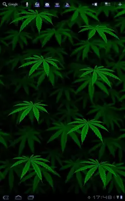 My Ganja Live Wallpaper android App screenshot 1